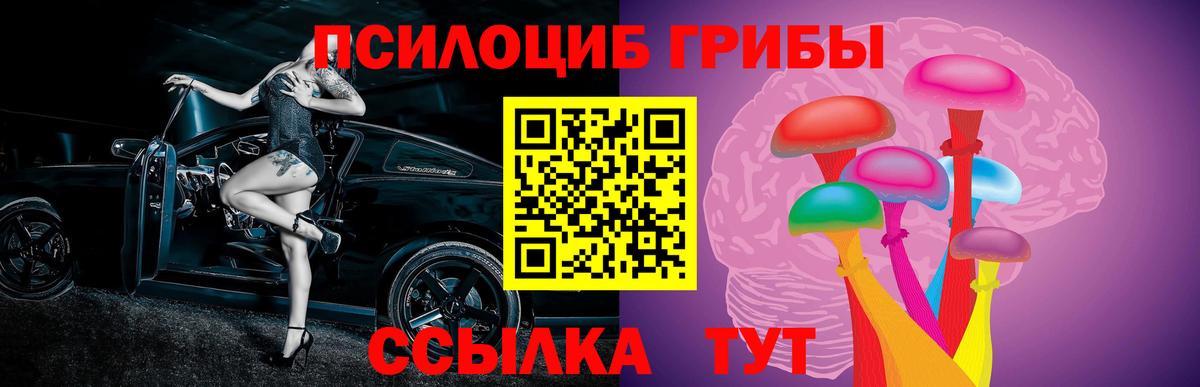 Гусиноозёрск  Галлюциногенные грибы GOLDEN TEACHER  Вход с VPN 